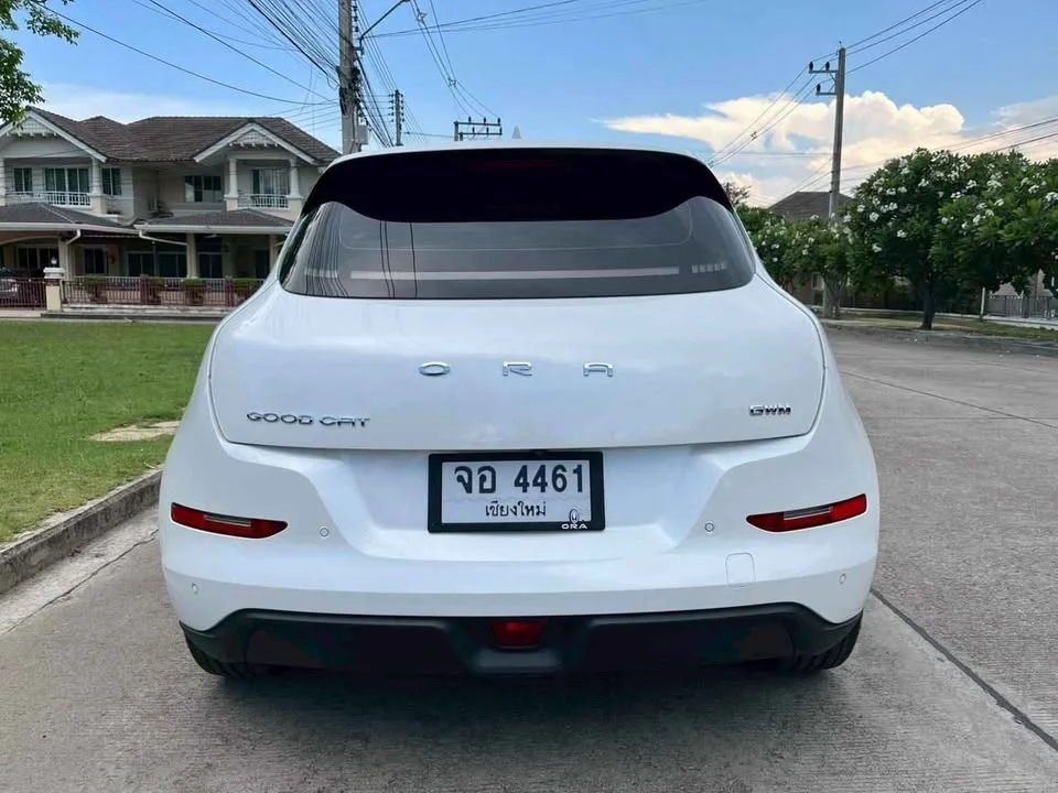 2022 GWM Ora Good Cat 3