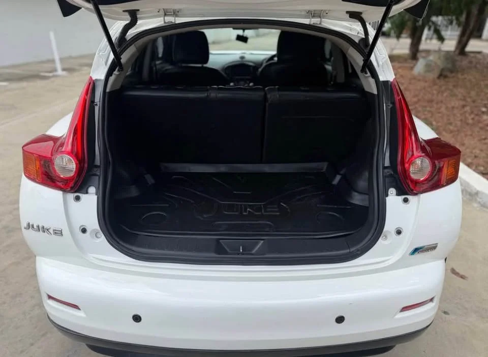 2013 Nissan Juke I (F15) 2