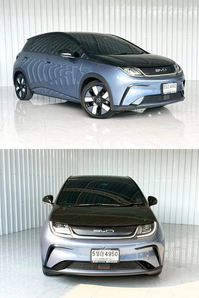 2024 BYD Dolphin 3