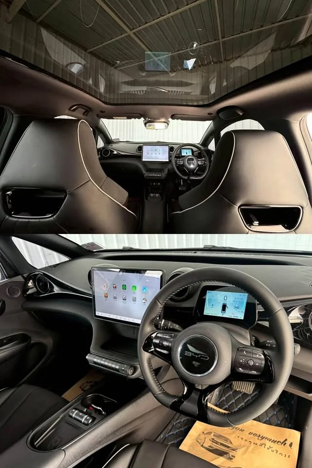 2024 BYD Dolphin 2