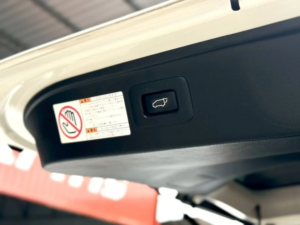 2019 Toyota Alphard, Vellfire III (AH30) 3