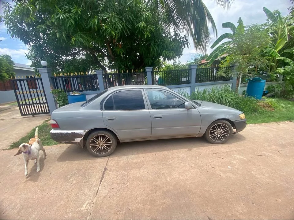 1994 Toyota Corolla Altis VII (E100) 2