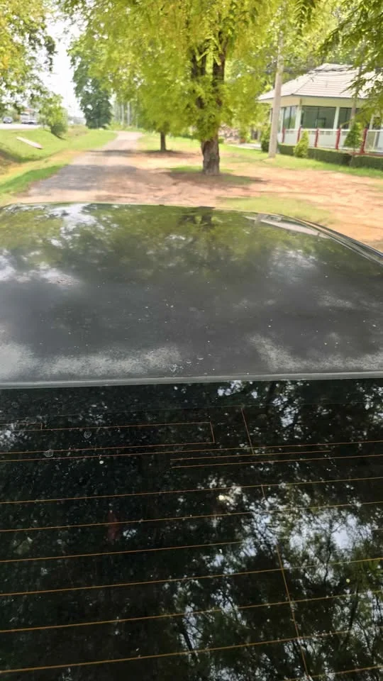 2017 Suzuki Ciaz 3