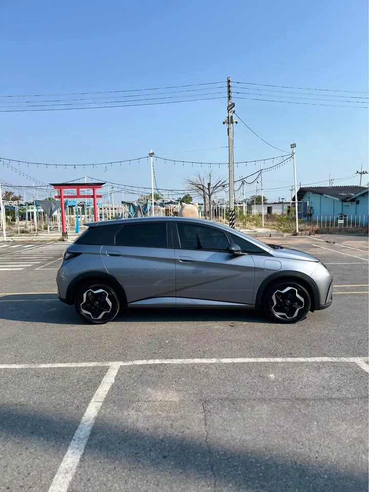 2021 BYD Dolphin 3