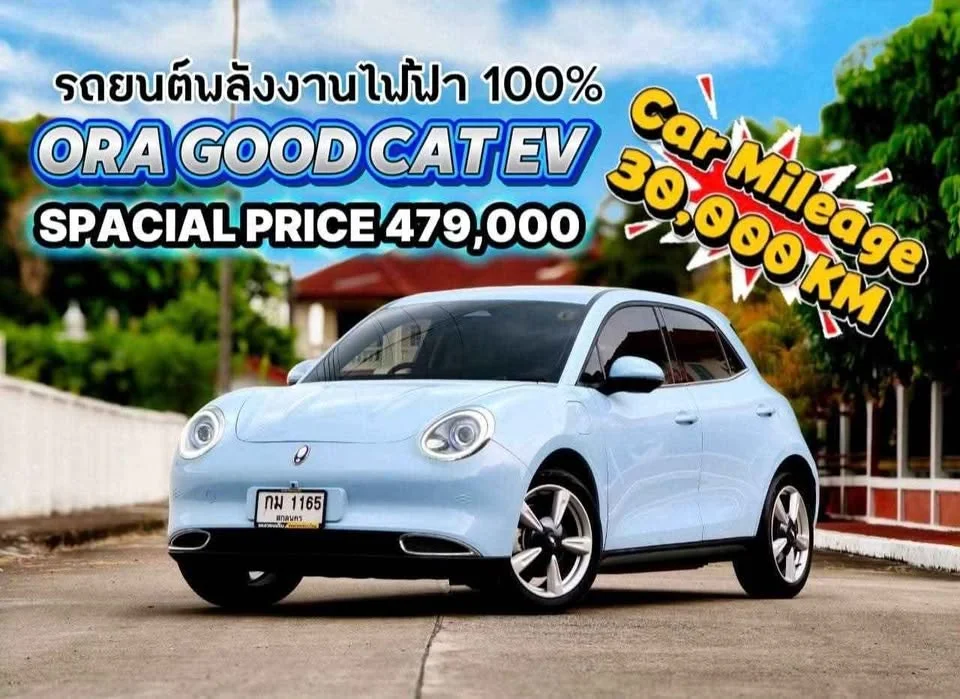 2025 GWM Ora Good Cat 3