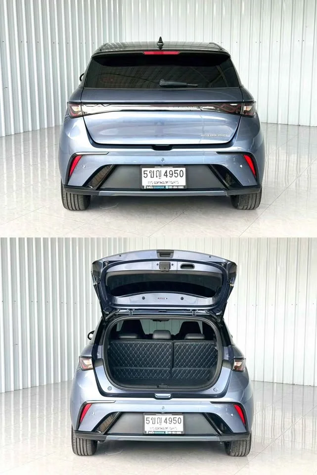 2023 BYD Dolphin 3