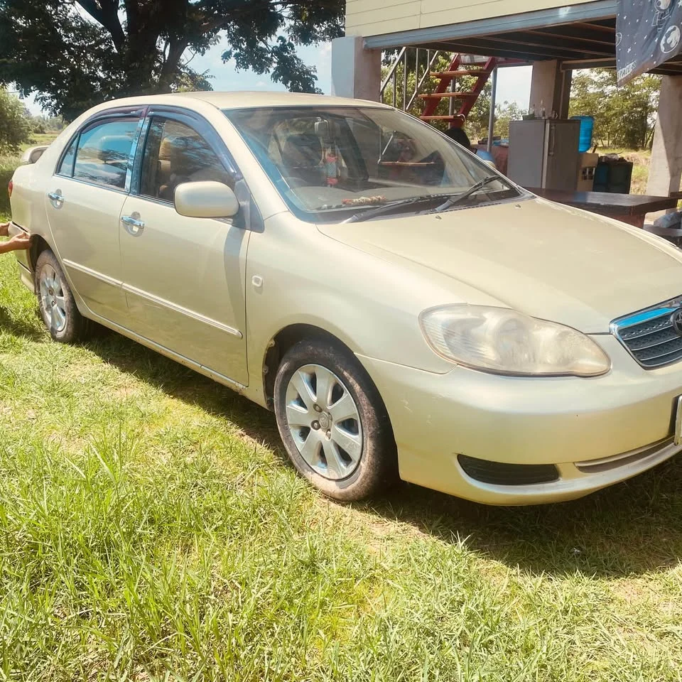 2005 Toyota Corolla Altis IX (E120) 3