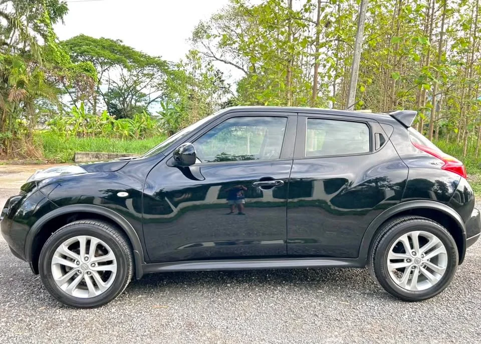 2014 Nissan Juke I (F15) 2