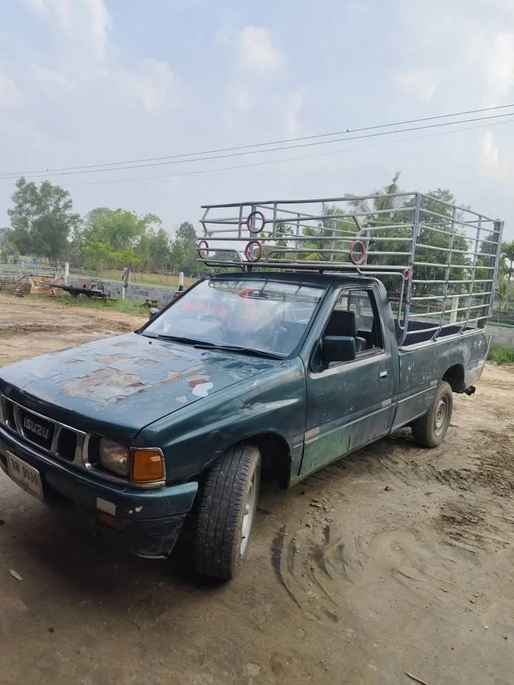1998 Isuzu TFR III 3