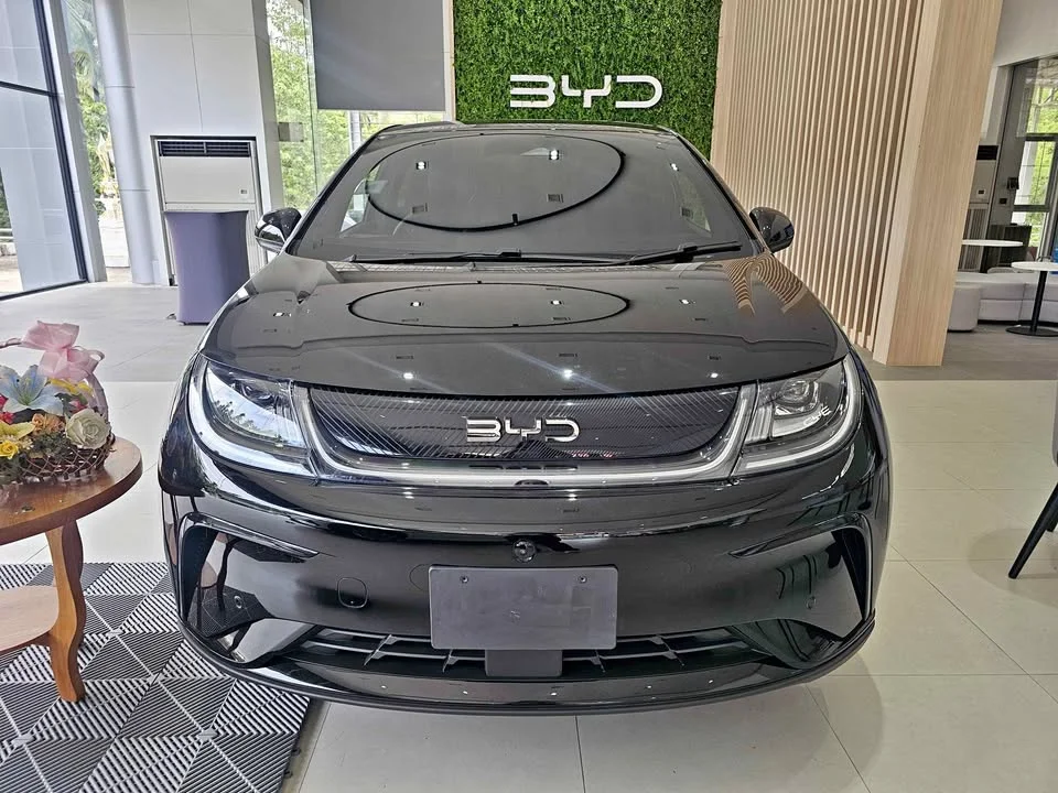 2026 BYD Dolphin 2