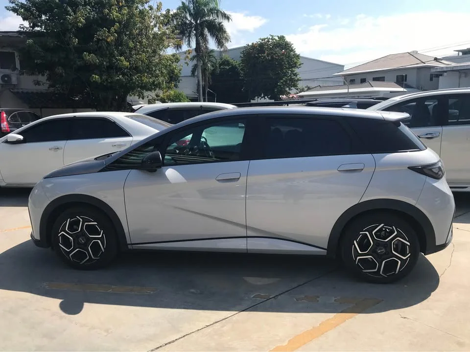 2023 BYD Dolphin 3