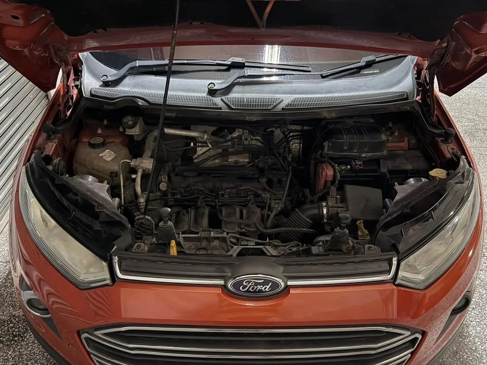 2014 Ford EcoSport II 2