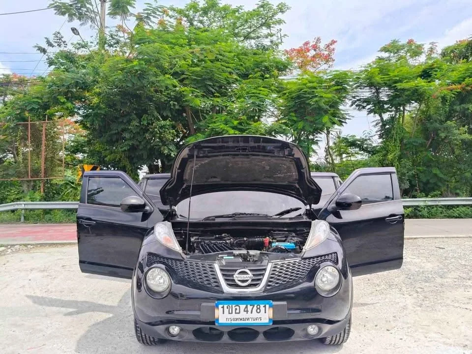 2014 Nissan Juke I (F15) 3