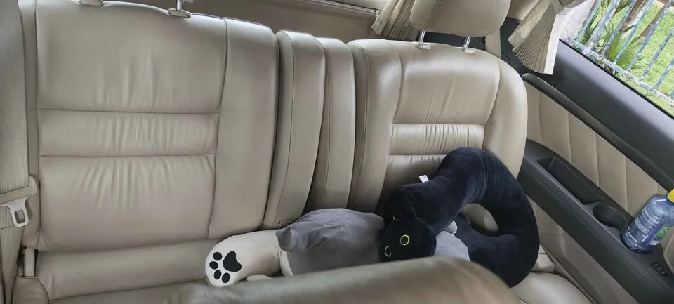 2006 Toyota Alphard, Vellfire I (AH10) 3