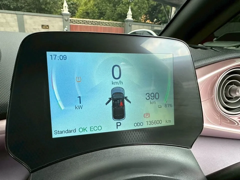 2023 BYD Dolphin 2