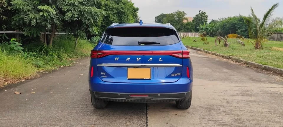 2021 GWM Haval H6 III 2