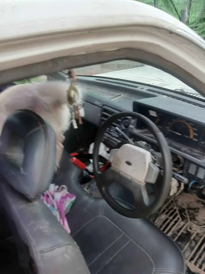 2018 Mazda B2500 IV 2