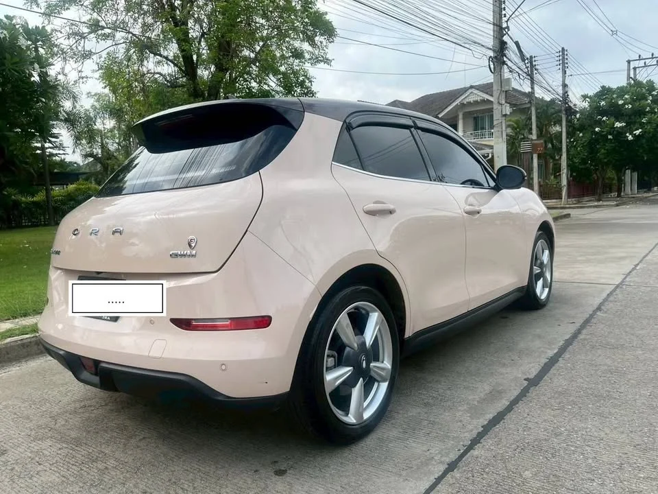 2024 GWM Ora Good Cat 2