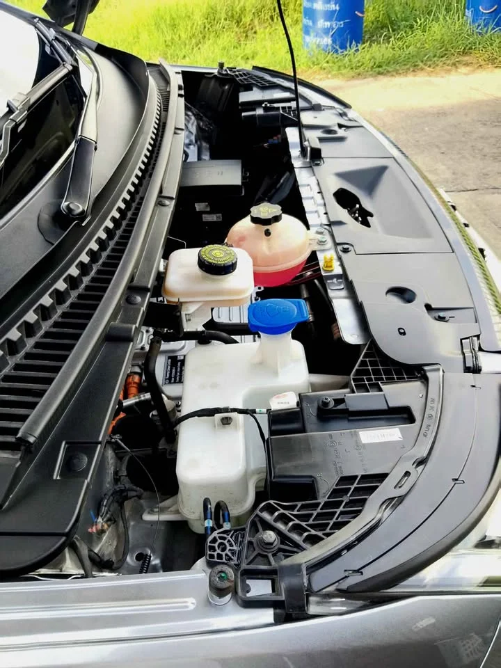 2024 BYD Dolphin 2