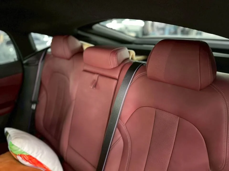 2022 BMW X6 G06 3