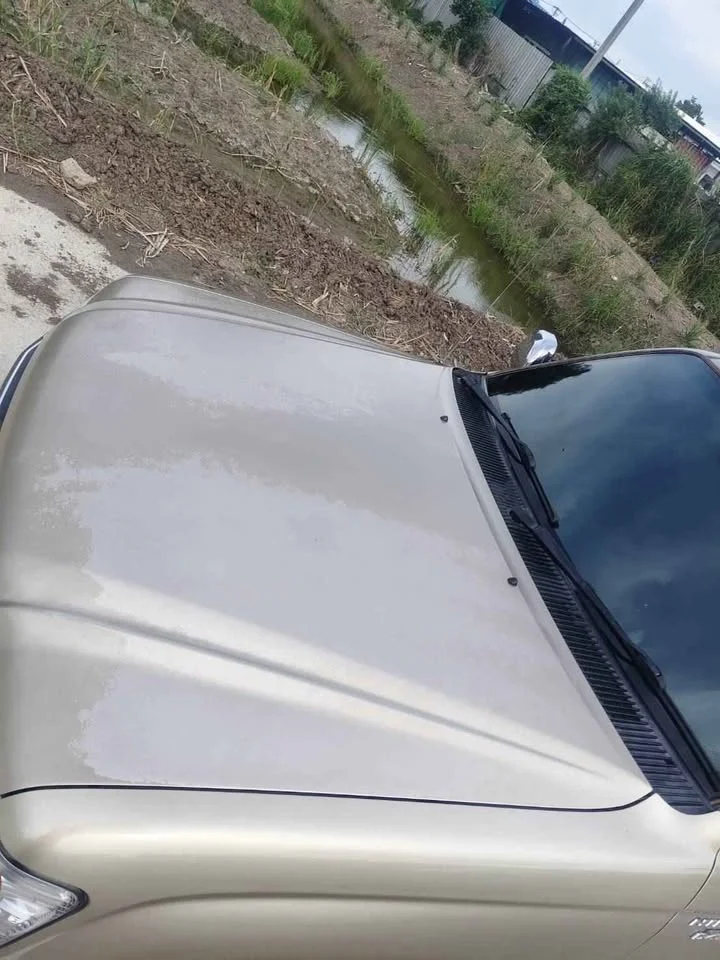 2004 Toyota Hilux Tiger VI 3
