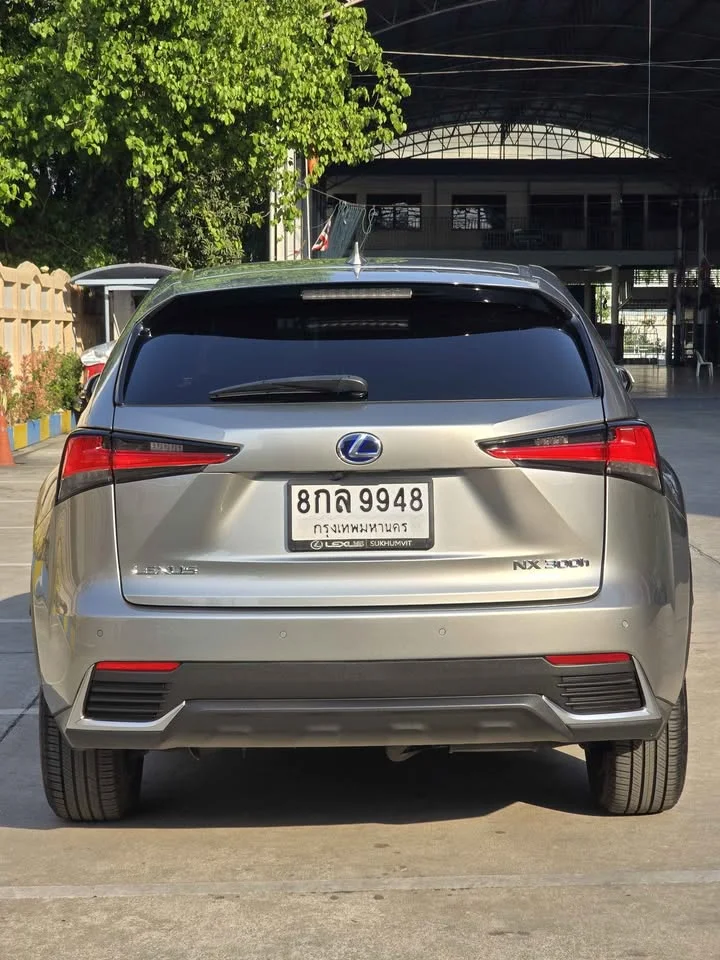 2019 Lexus NX I 3