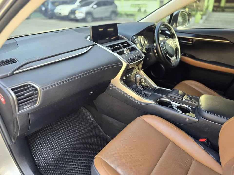 2019 Lexus NX I 2
