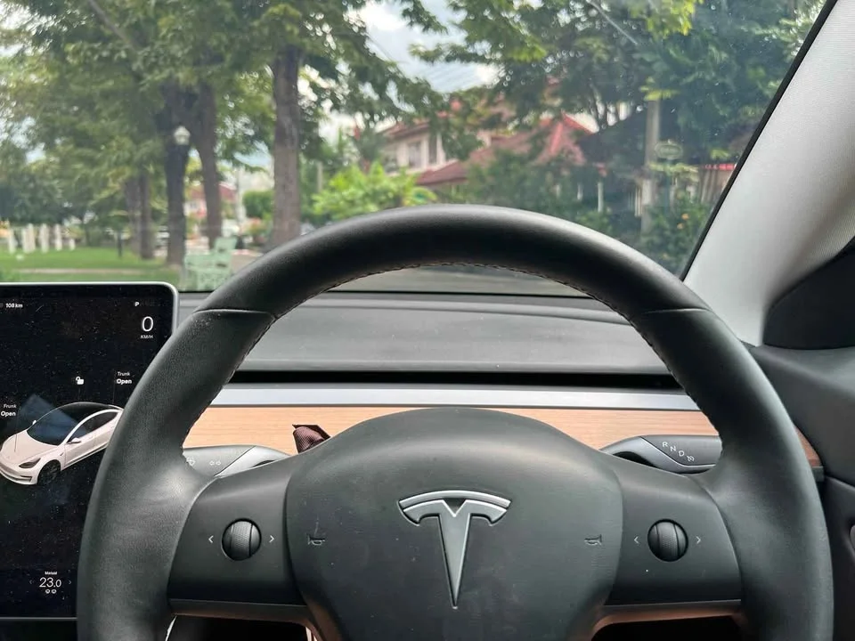 2021 Tesla Model 3 3