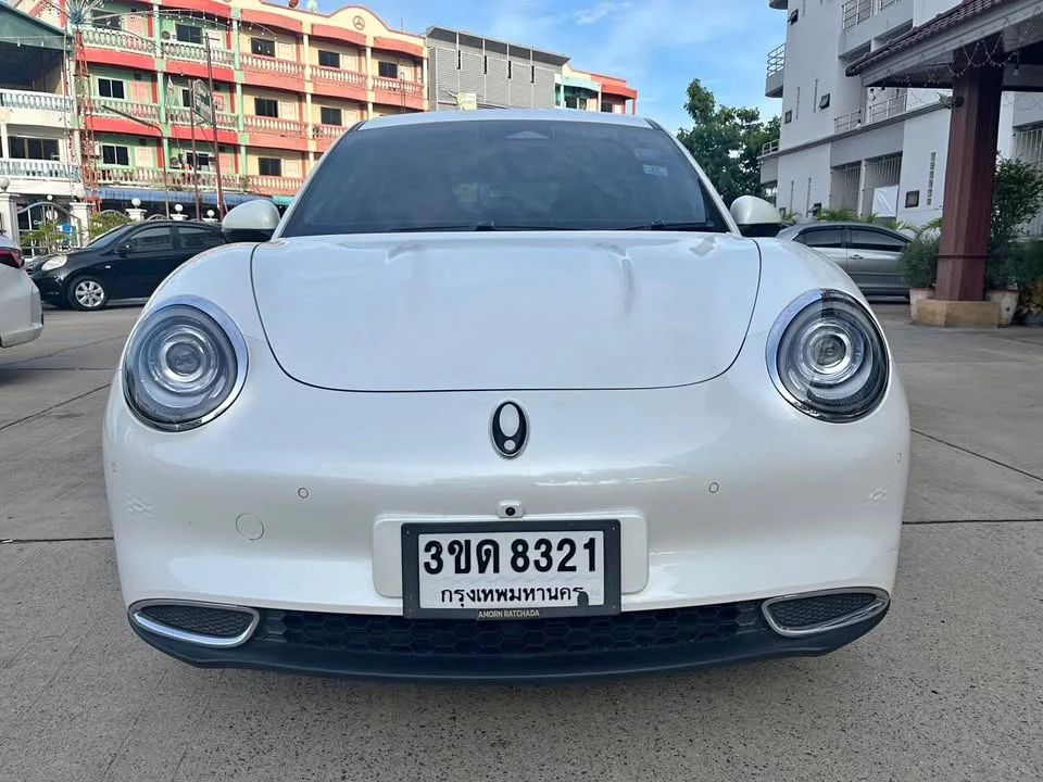 2021 GWM Ora Good Cat 2