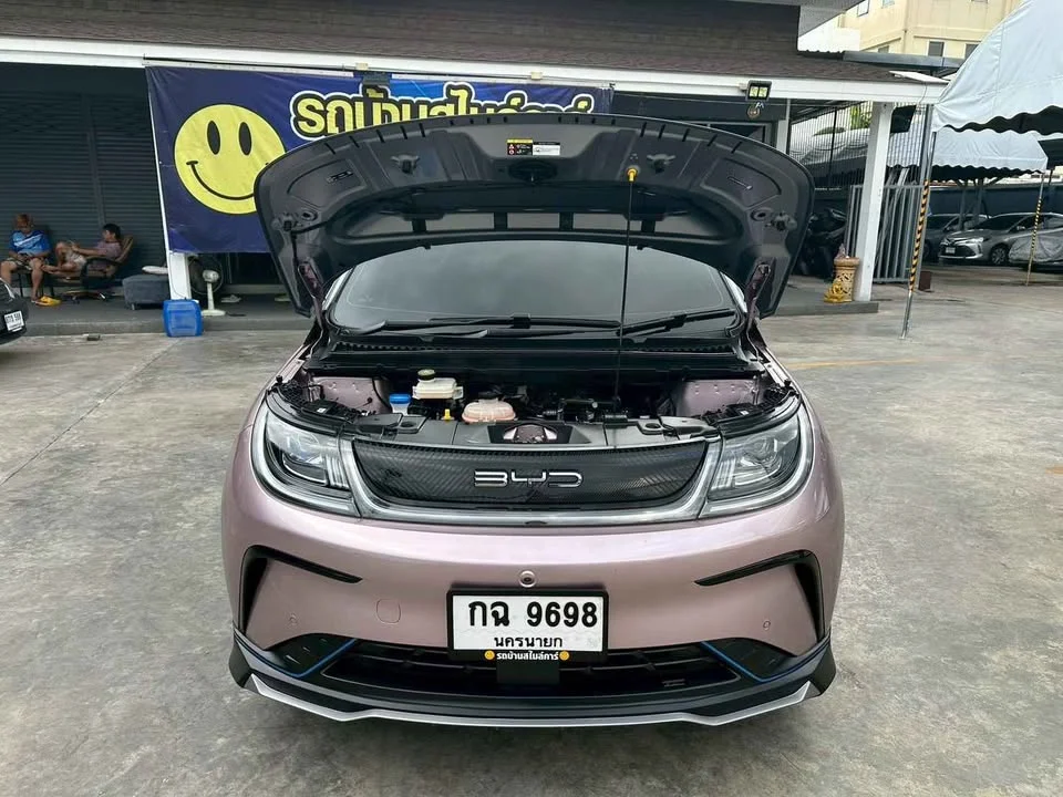 2023 BYD Dolphin 3