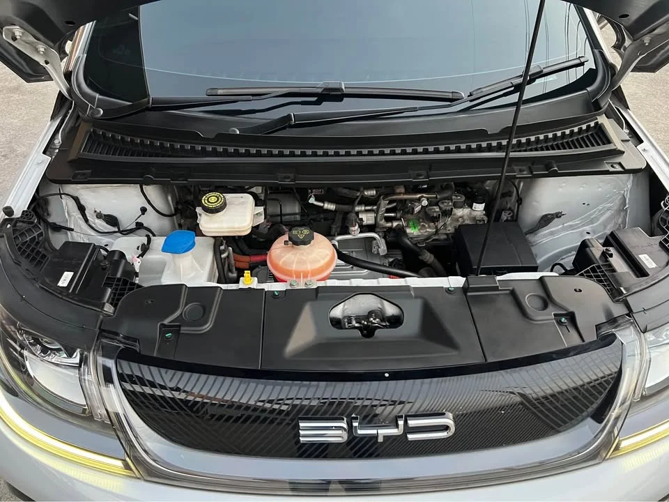 2024 BYD Dolphin 2
