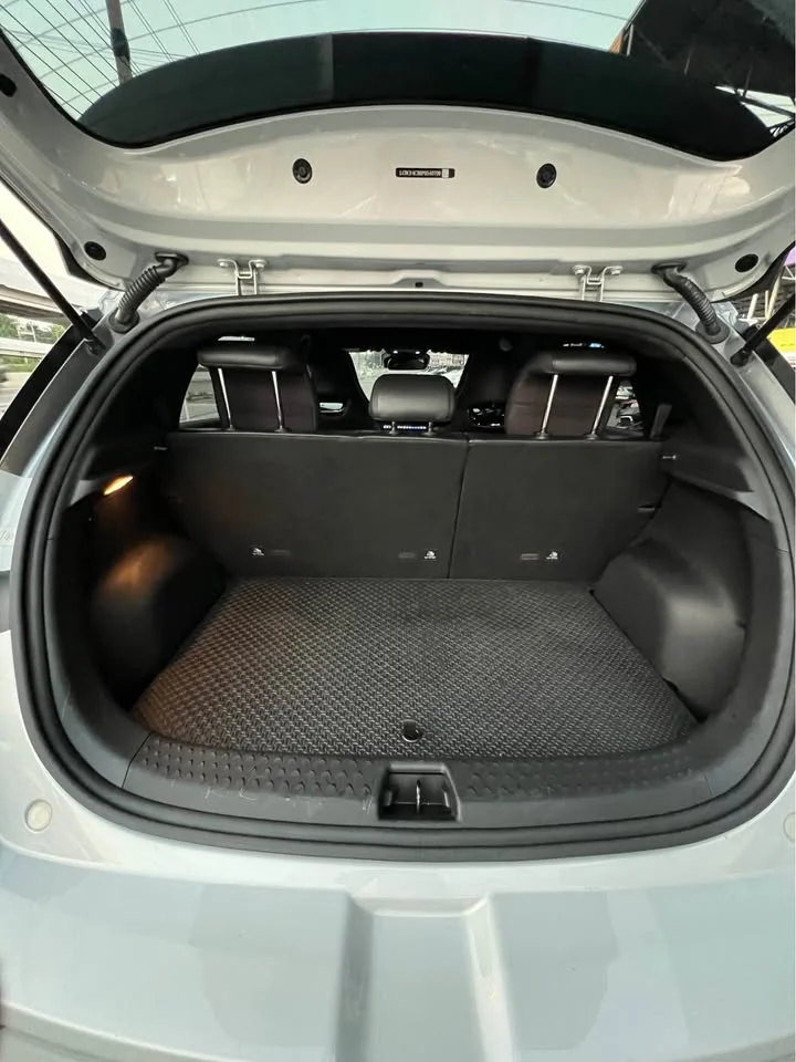 2024 BYD Dolphin 3
