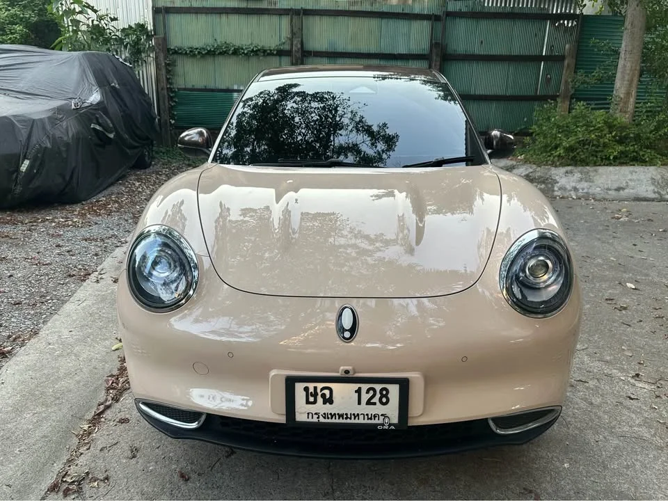2023 GWM Ora Good Cat 2