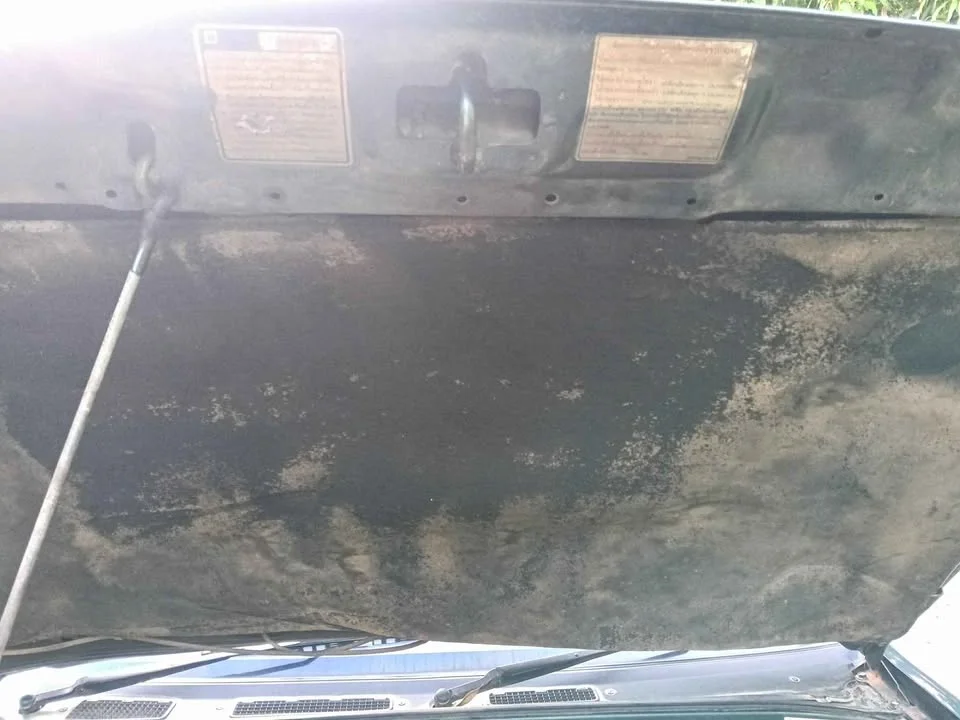 1994 Isuzu TFR III 2