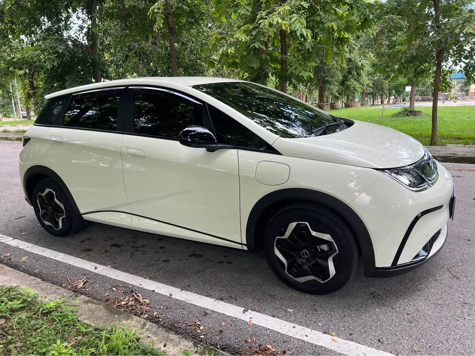 2024 BYD Dolphin 2