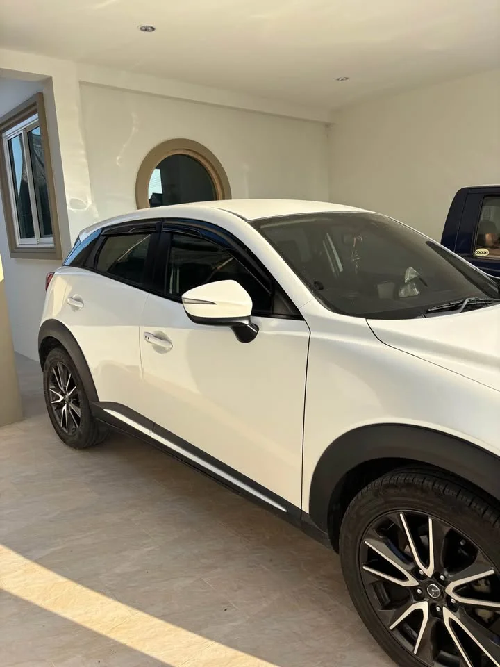2016 Mazda CX-3 I 3