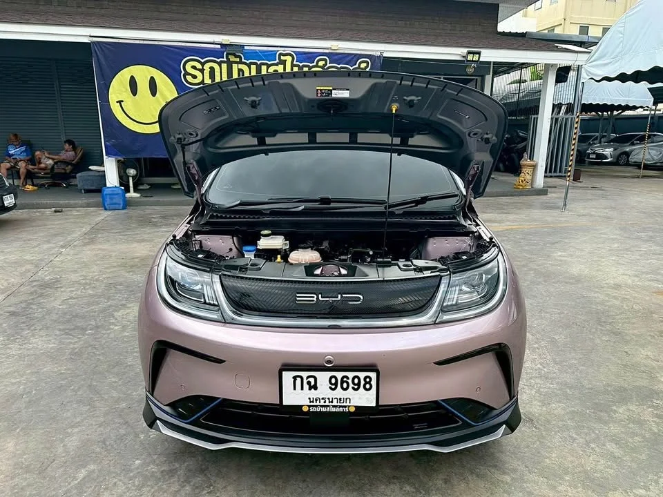 2023 BYD Dolphin 3