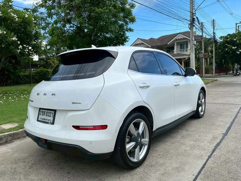2022 GWM Ora Good Cat 3