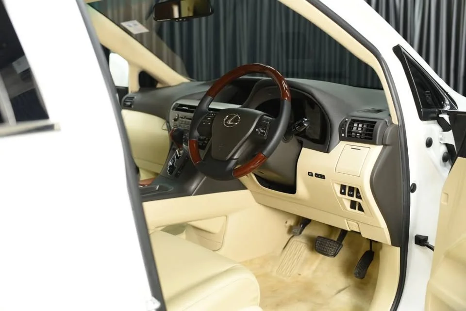 2009 Lexus RX III 2