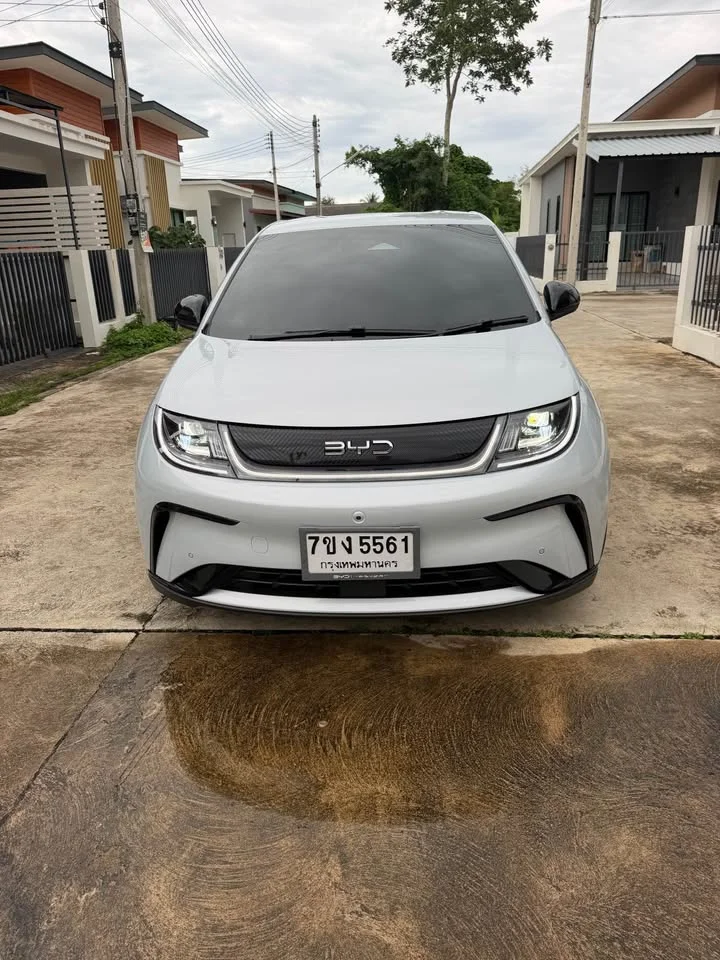 2025 BYD Dolphin 2