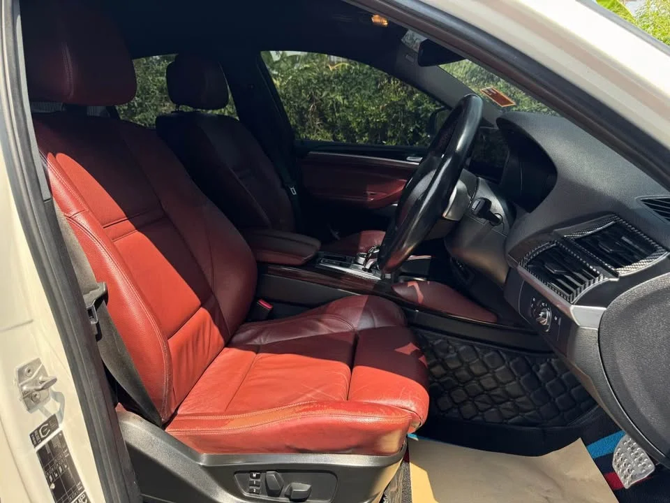 2010 BMW X6 E71, E72 3