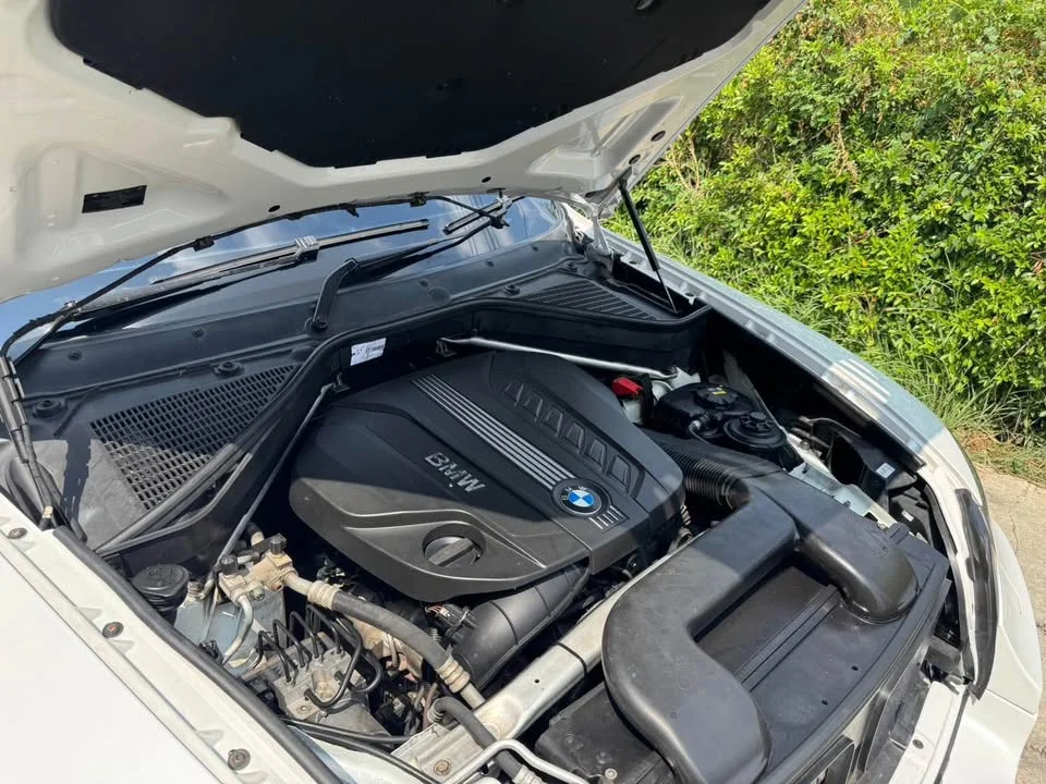 2010 BMW X6 E71, E72 2
