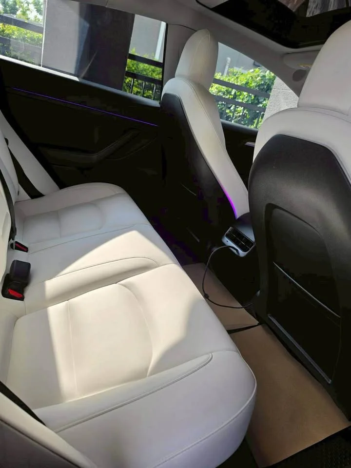 2021 Tesla Model 3 3