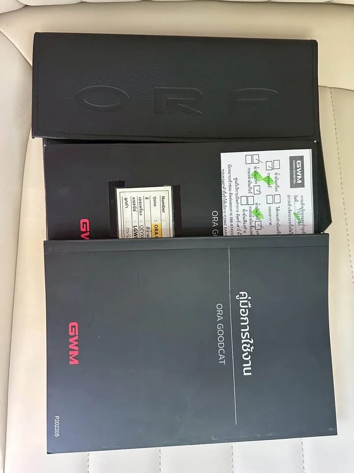 2022 GWM Ora Good Cat 2