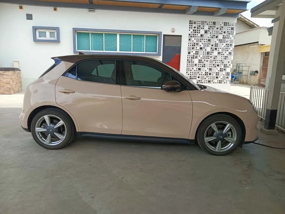 2023 GWM Ora Good Cat 2