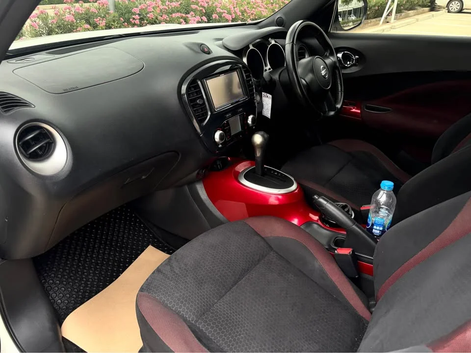 2010 Nissan Juke I (F15) 2