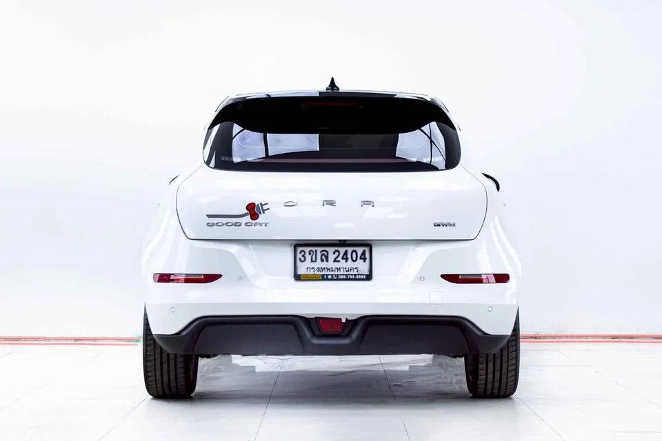 2022 GWM Ora Good Cat 2