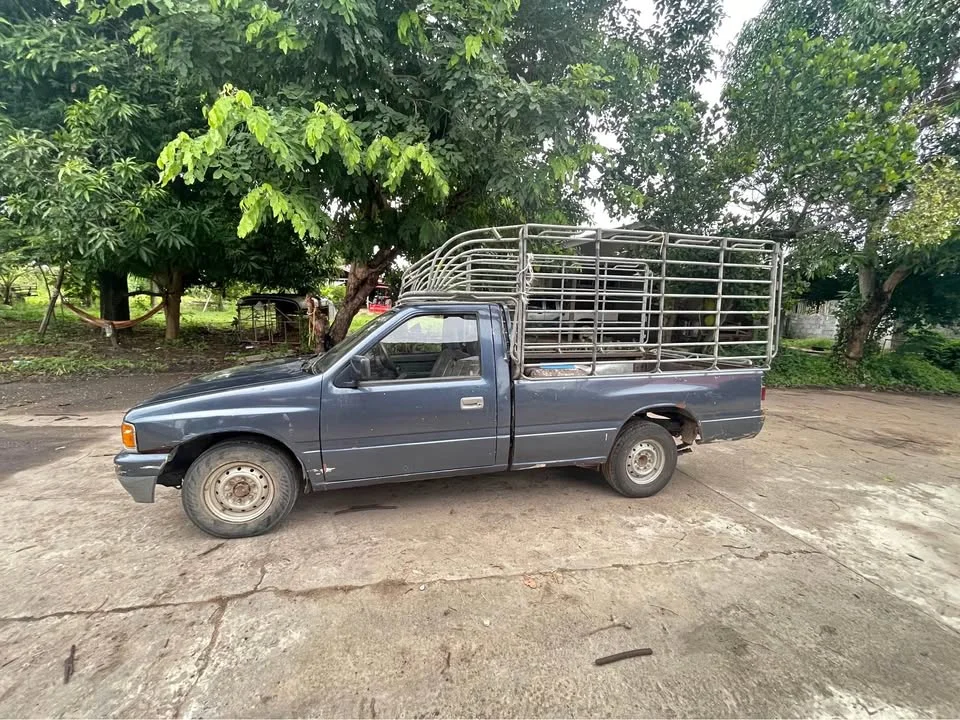 1989 Isuzu TFR III 2