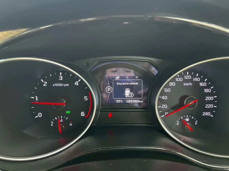 2015 Kia Carnival III 3