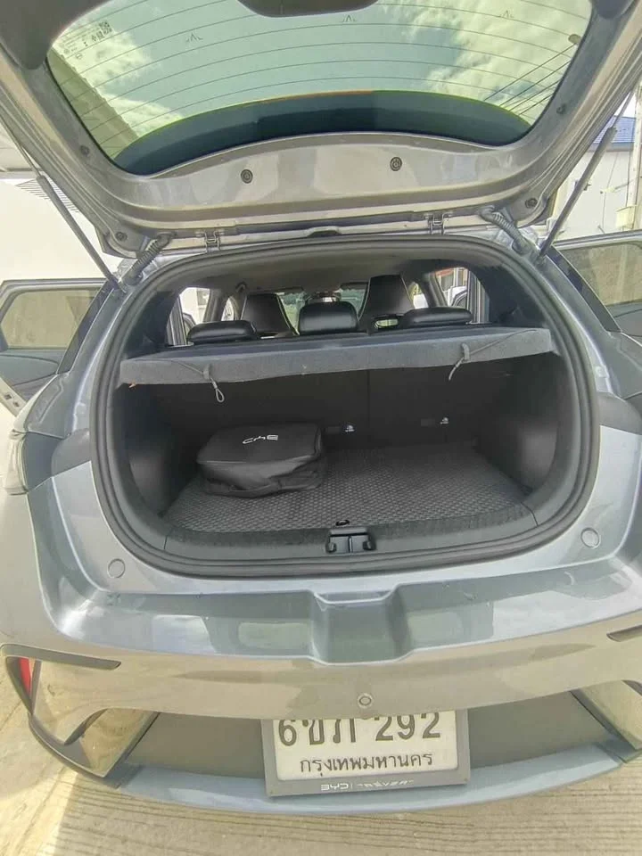 2025 BYD Dolphin 2